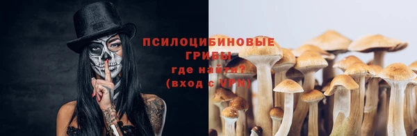 таблы Анива