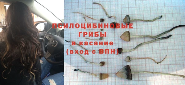 прущая мука Нягань