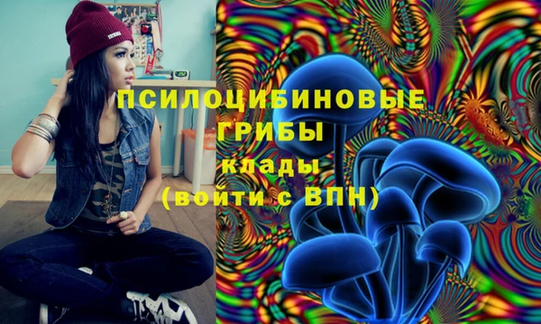прущая мука Нягань