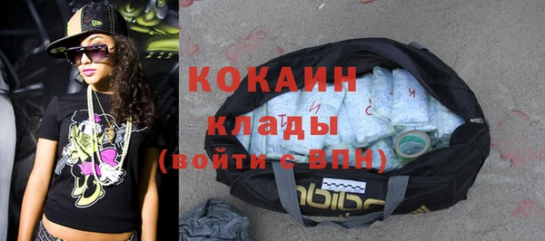 ГАЛЛЮЦИНОГЕННЫЕ ГРИБЫ Няндома