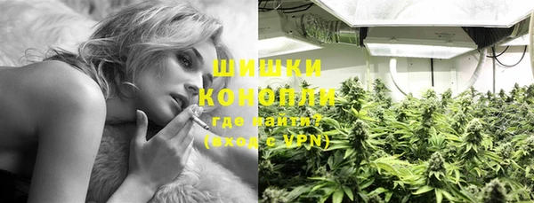 ГАЛЛЮЦИНОГЕННЫЕ ГРИБЫ Няндома