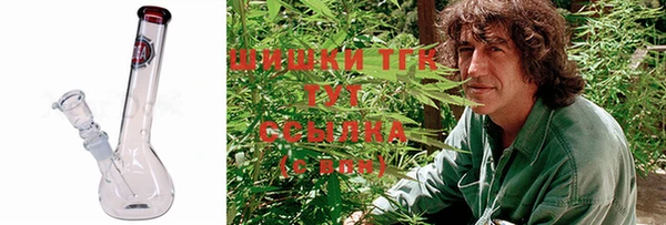ГАЛЛЮЦИНОГЕННЫЕ ГРИБЫ Няндома