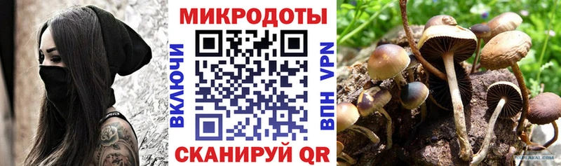 Галлюциногенные грибы Magic Shrooms  мега ссылки  Черногорск 