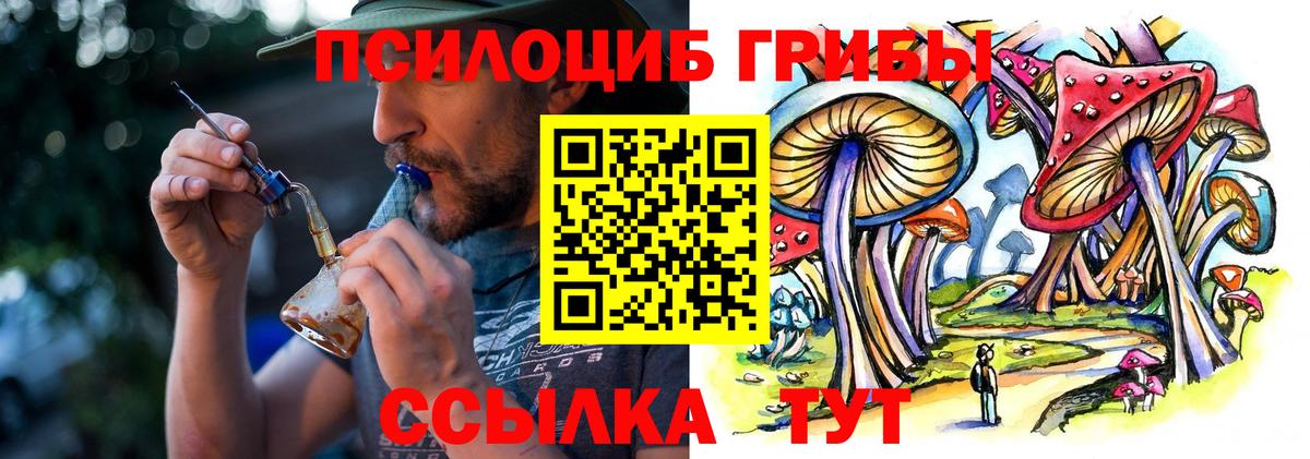 Галлюциногенные грибы GOLDEN TEACHER  Вход с VPN  Псилоцибиновые грибы прущие грибы  Черногорск 