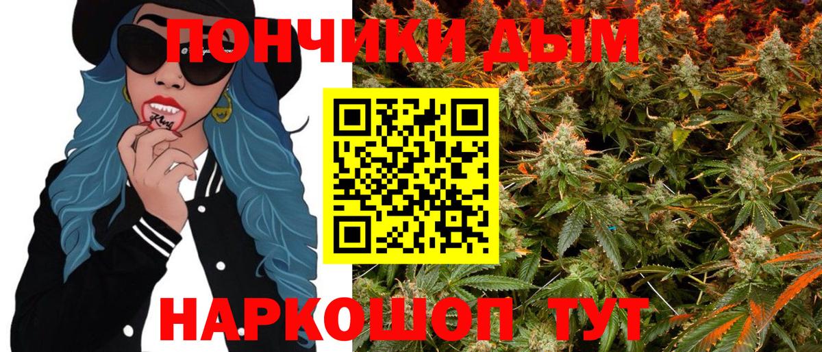 Бошки марихуана SATIVA & INDICA Черногорск